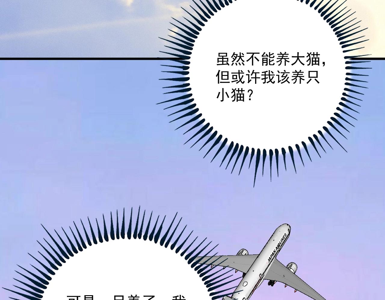 第169话 猫咪计划56