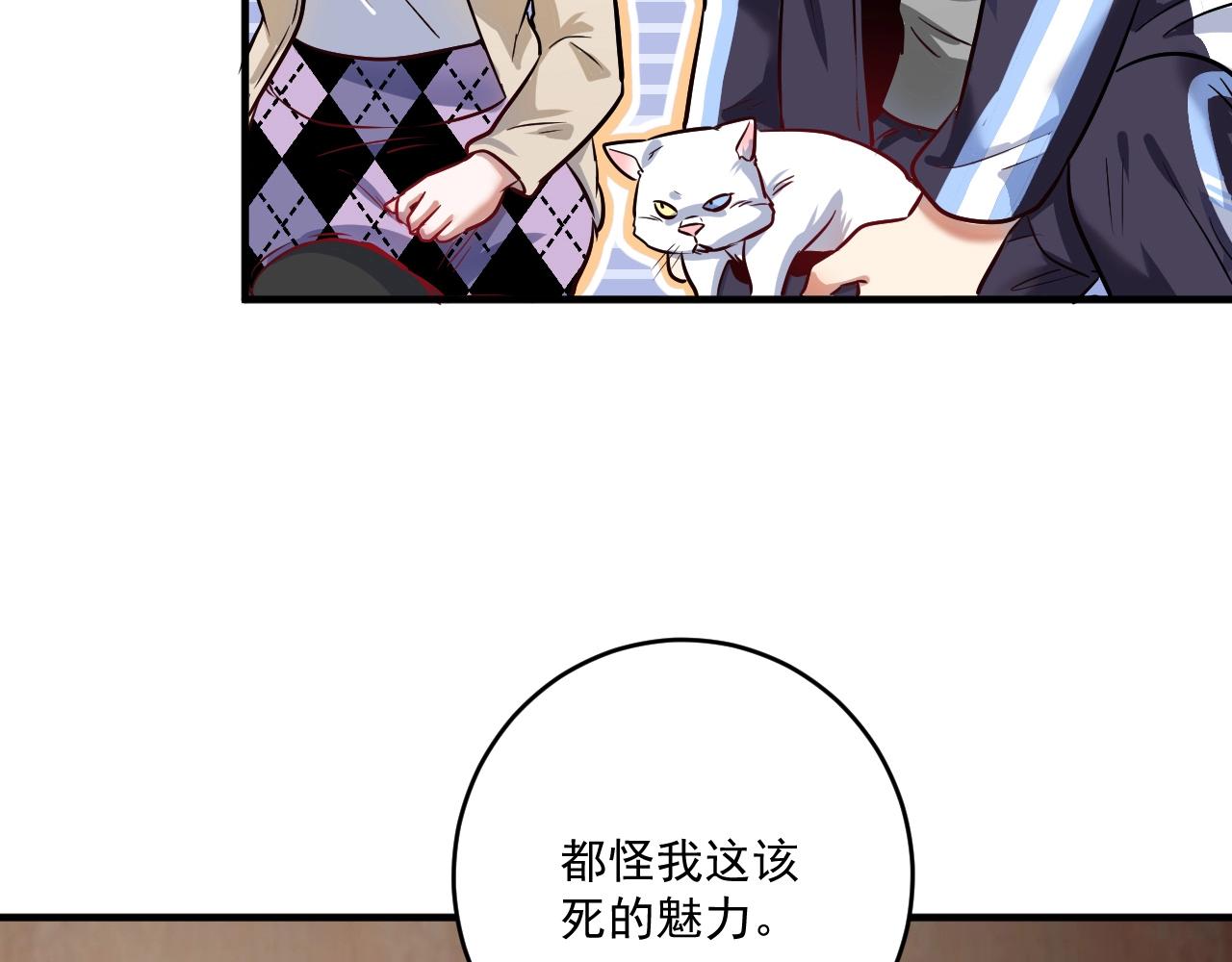 第169话 猫咪计划101
