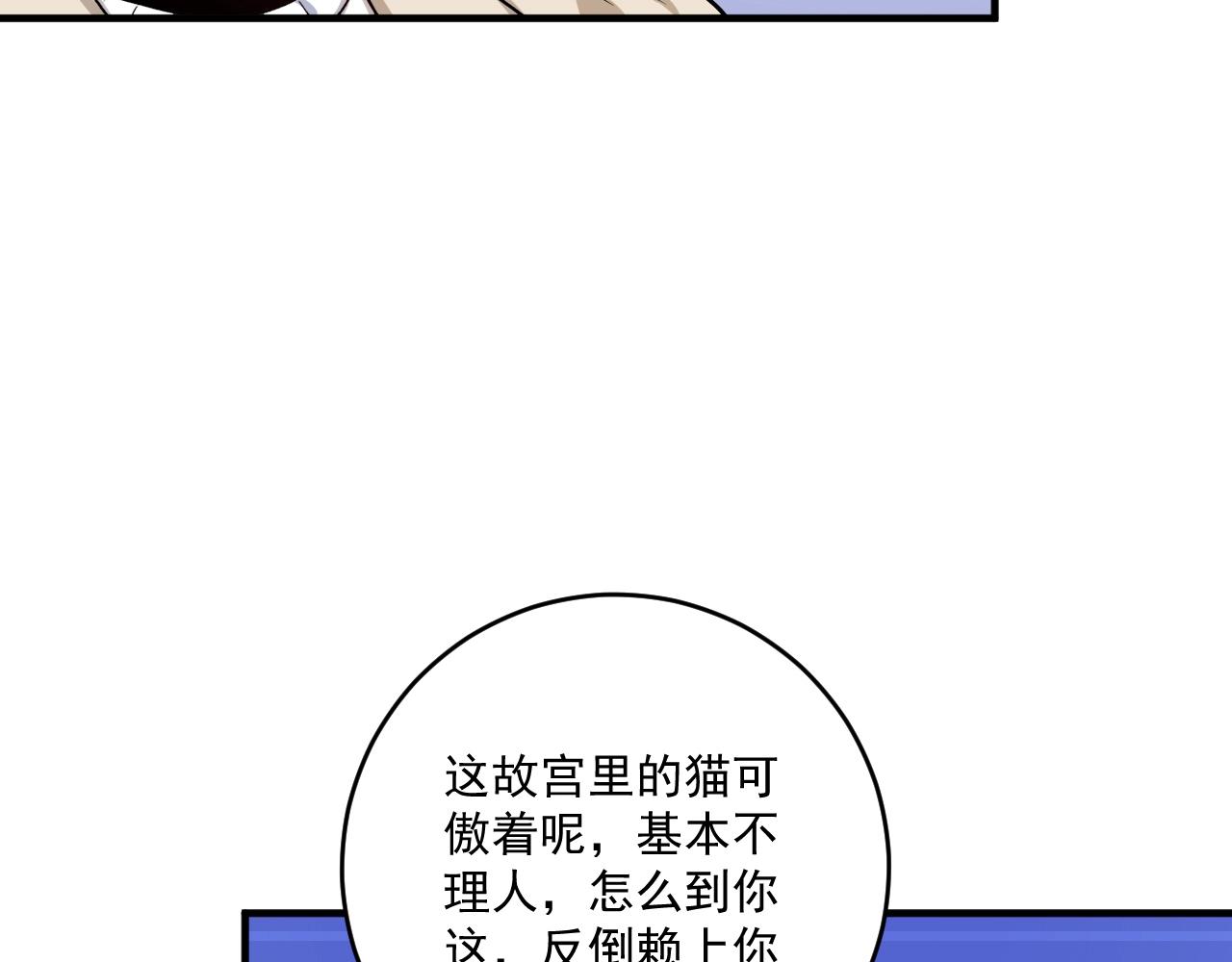第169话 猫咪计划99