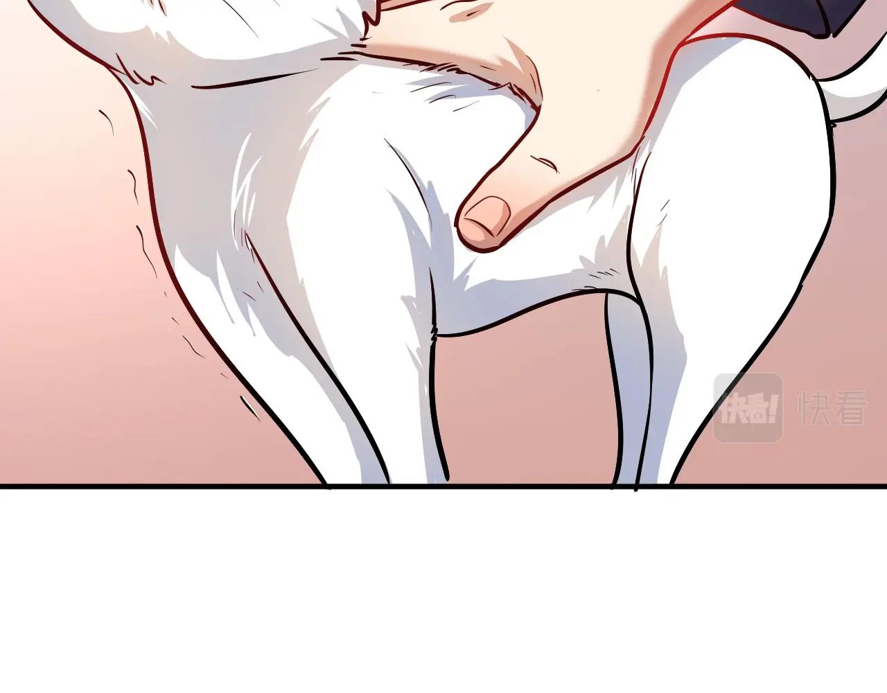 第169话 猫咪计划87