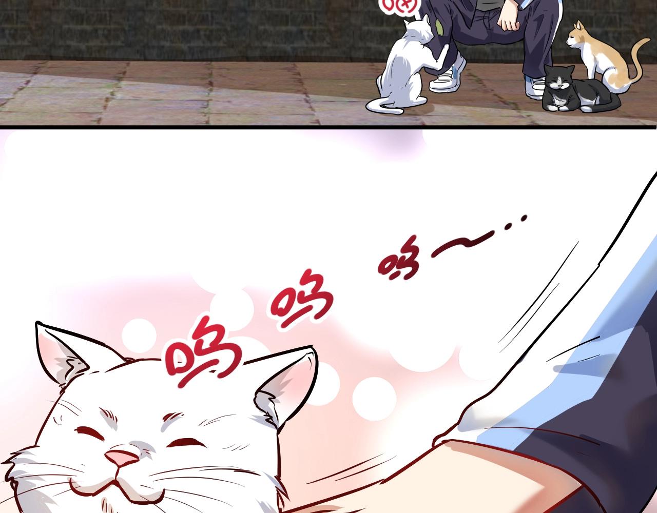 第169话 猫咪计划86