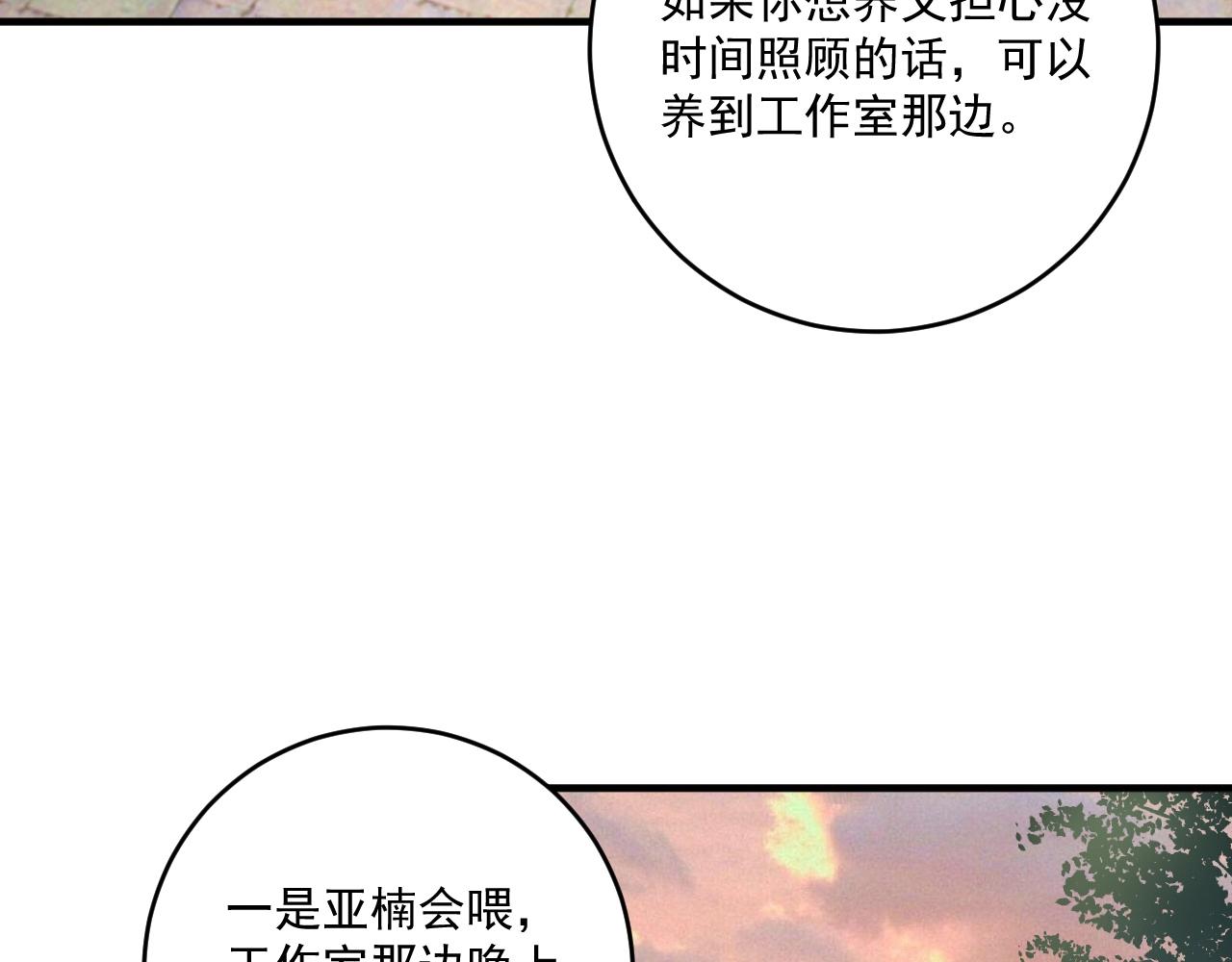 第169话 猫咪计划113