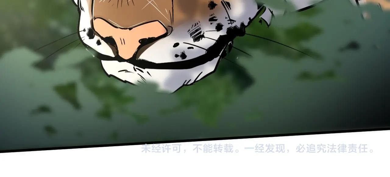 第167话 第二只老虎？93