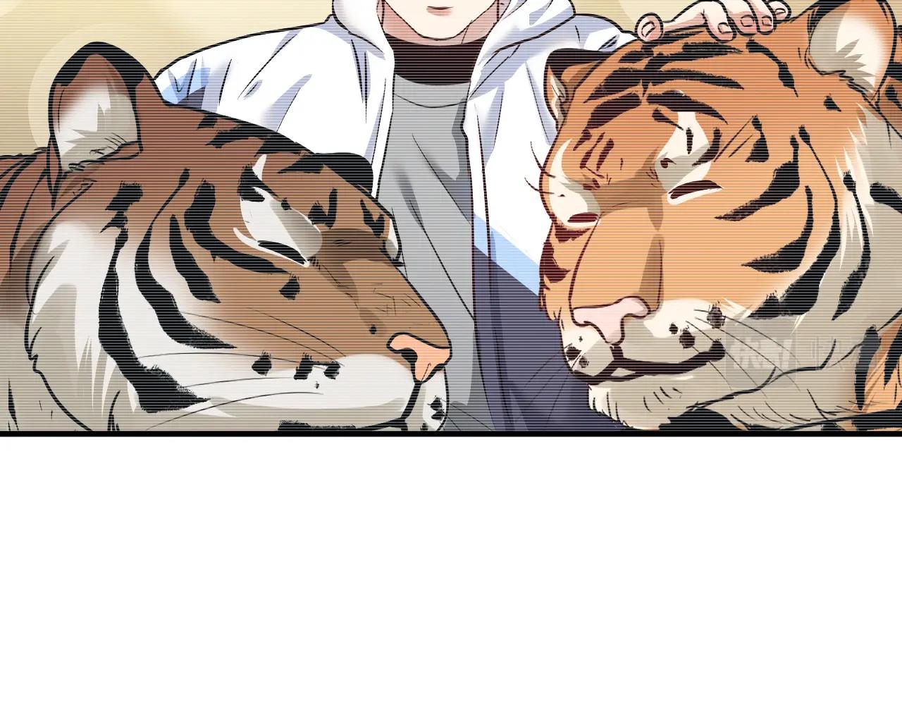 第169话 猫咪计划52
