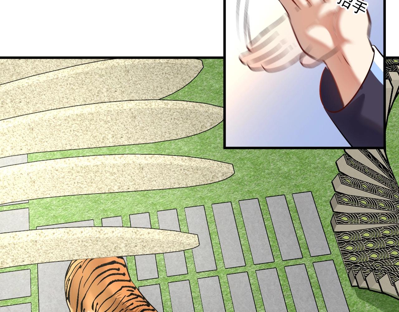第167话 第二只老虎？72
