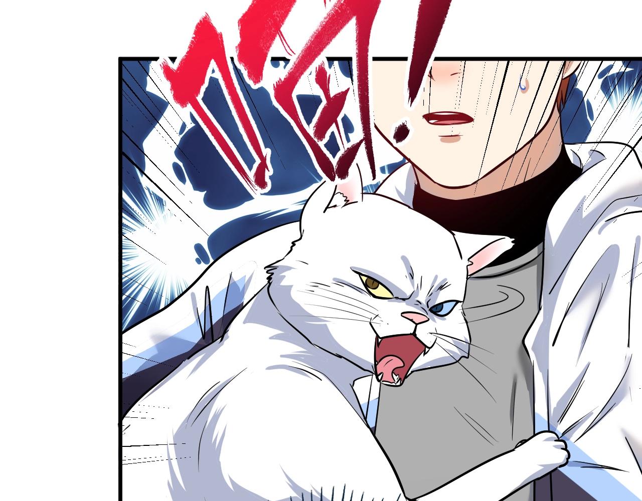 第169话 猫咪计划96