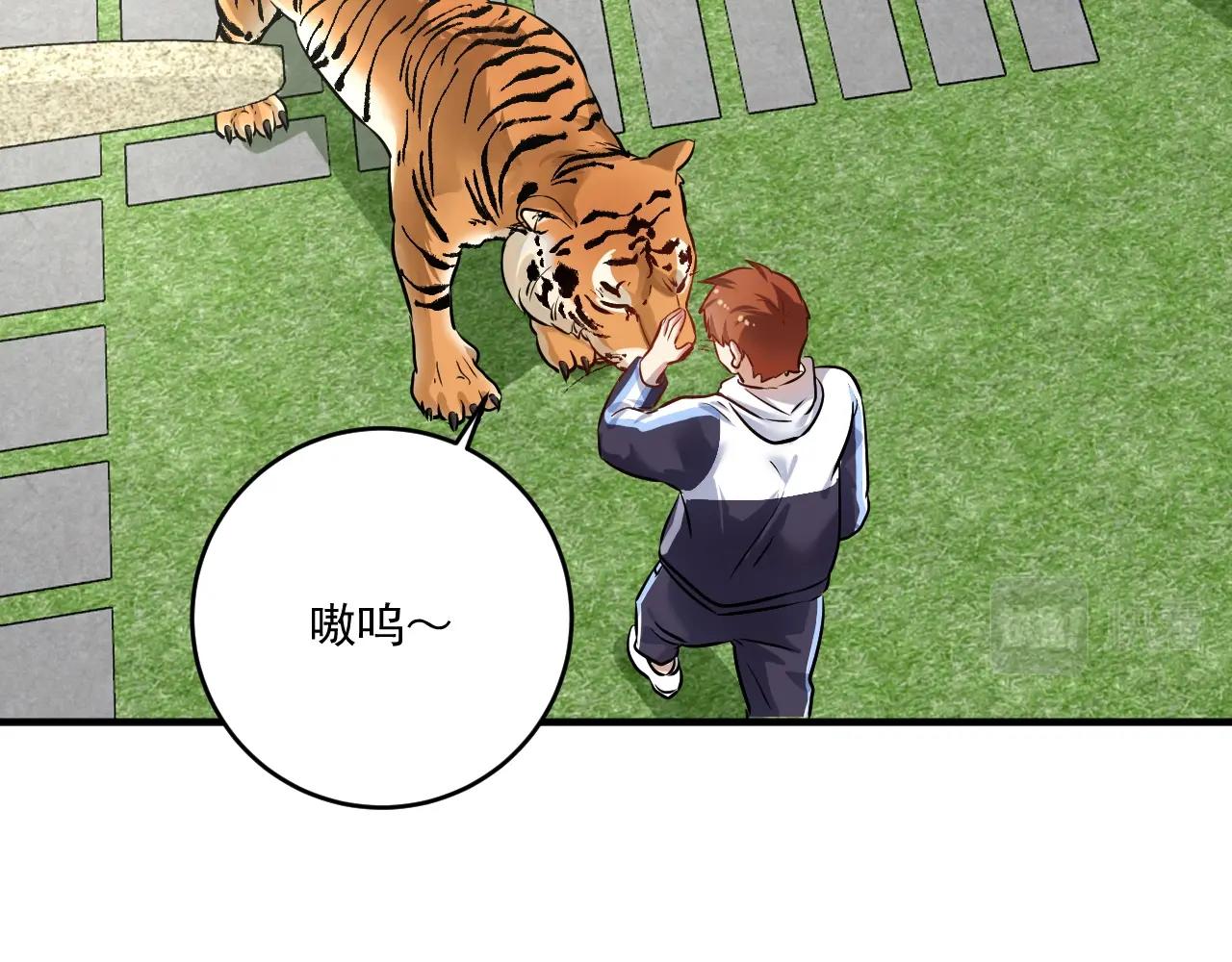 第167话 第二只老虎？73