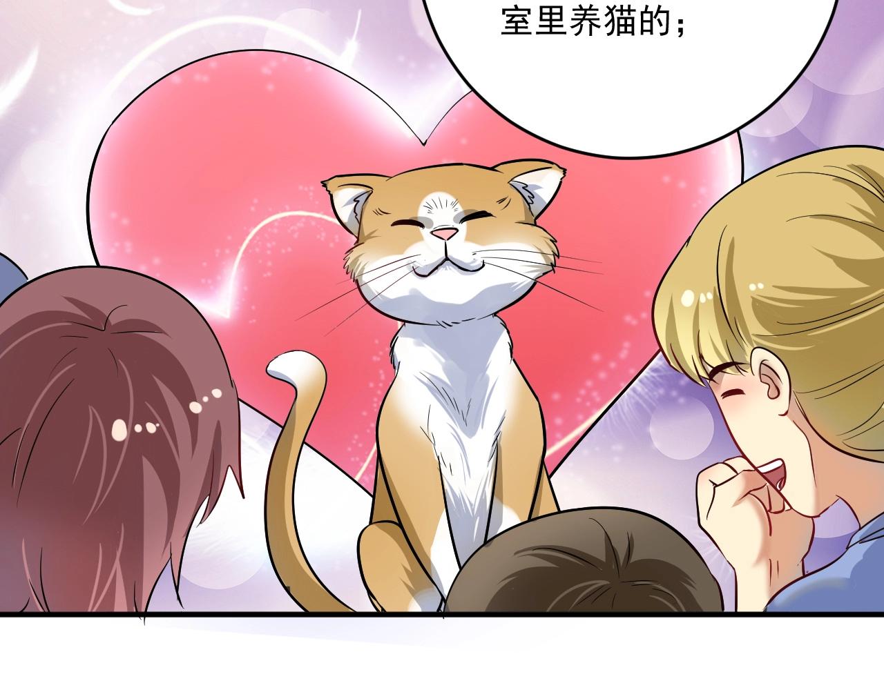 第169话 猫咪计划115