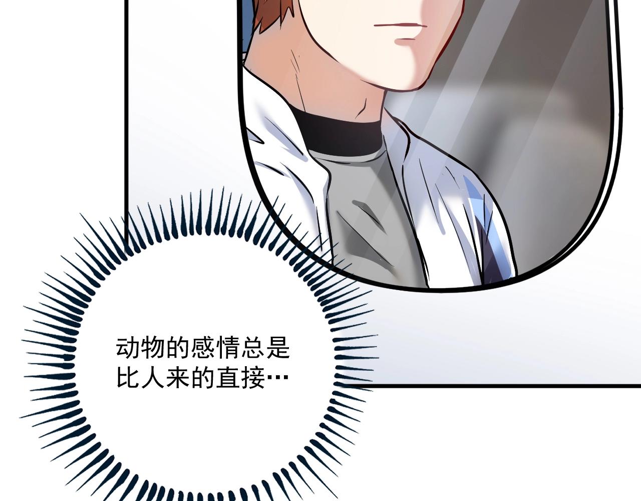 第169话 猫咪计划54