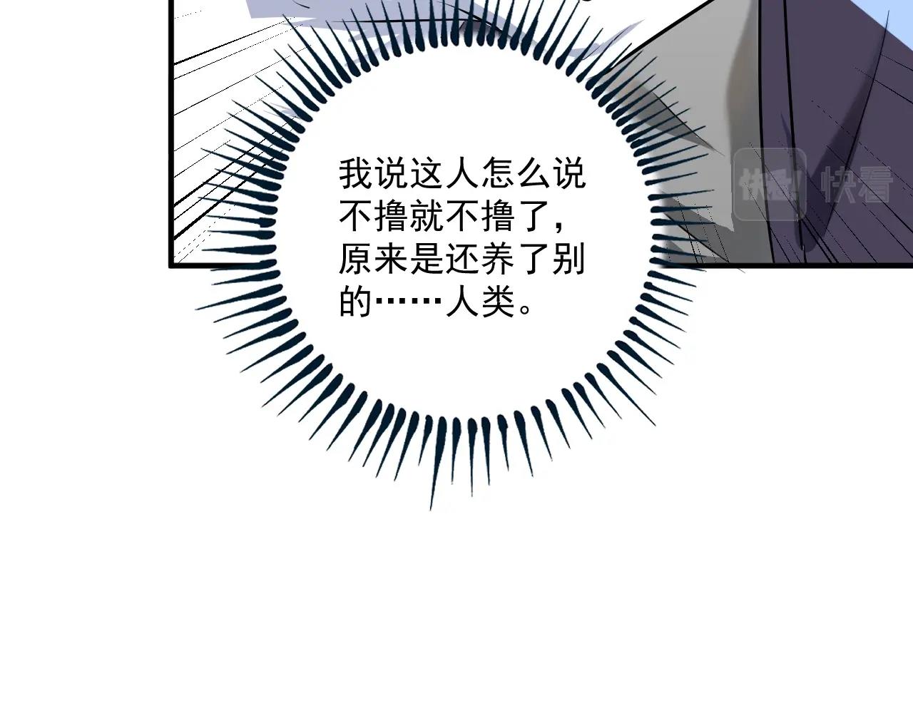 第169话 猫咪计划97