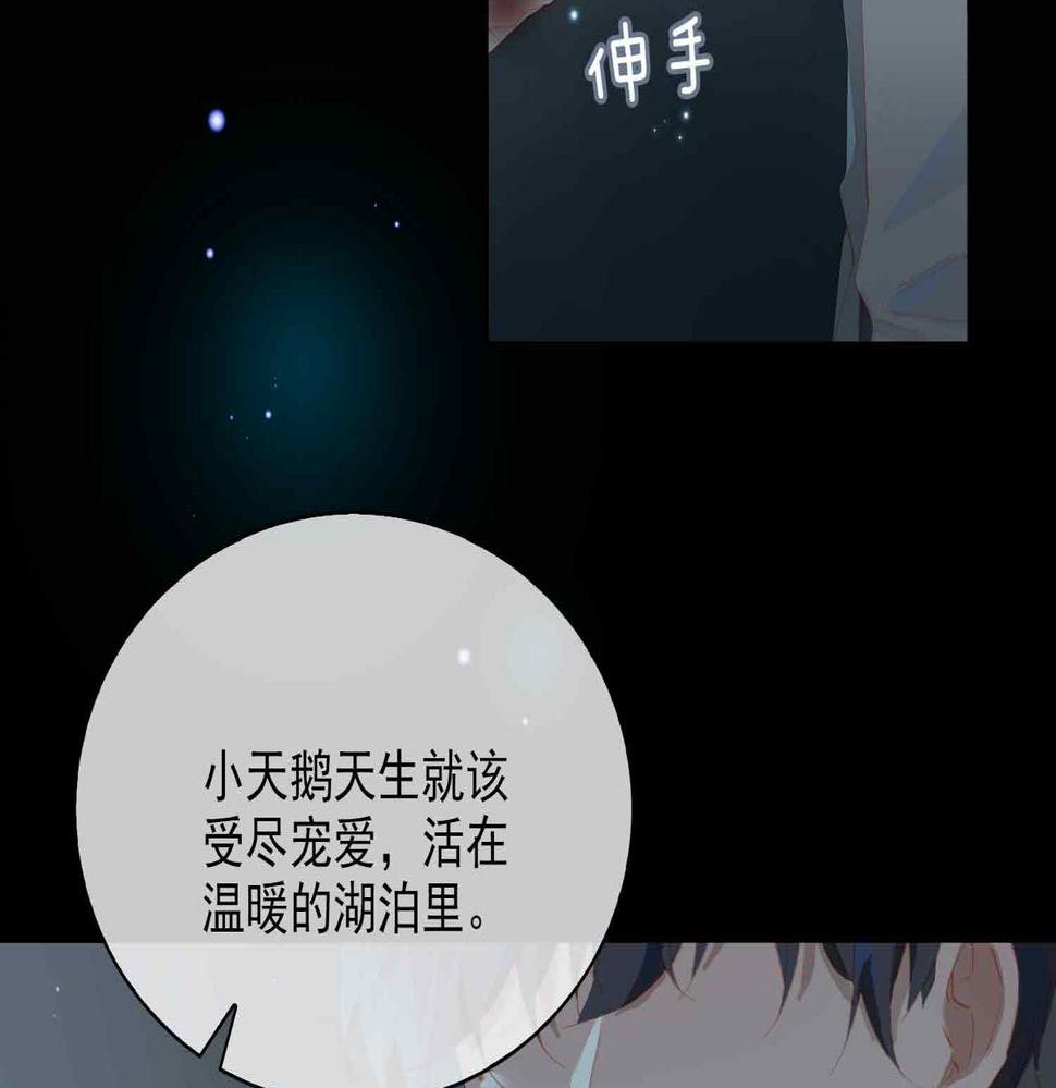 外传9 互通心意2
