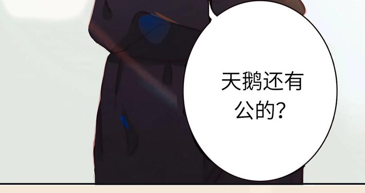 序章 每个梦想都闪耀15