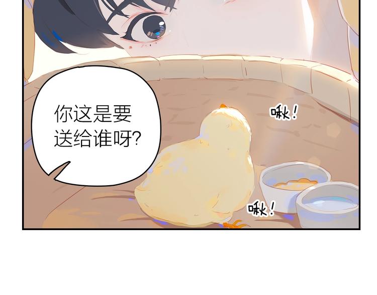 第9话 小宠物8
