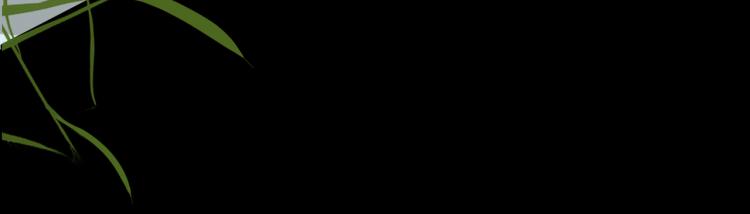 第10话 心意98