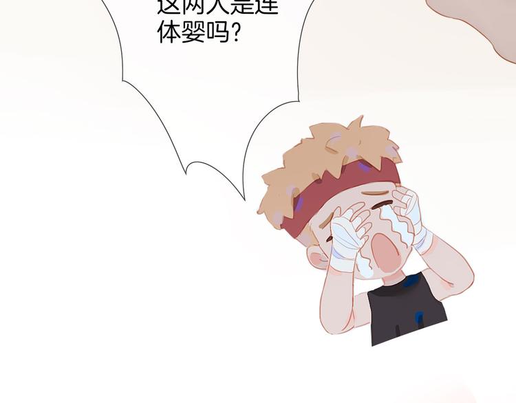 小甜饼放送40
