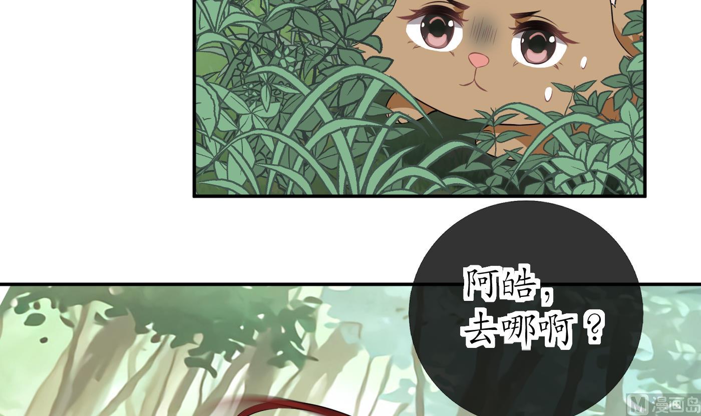 第75话 被动物占便宜了32