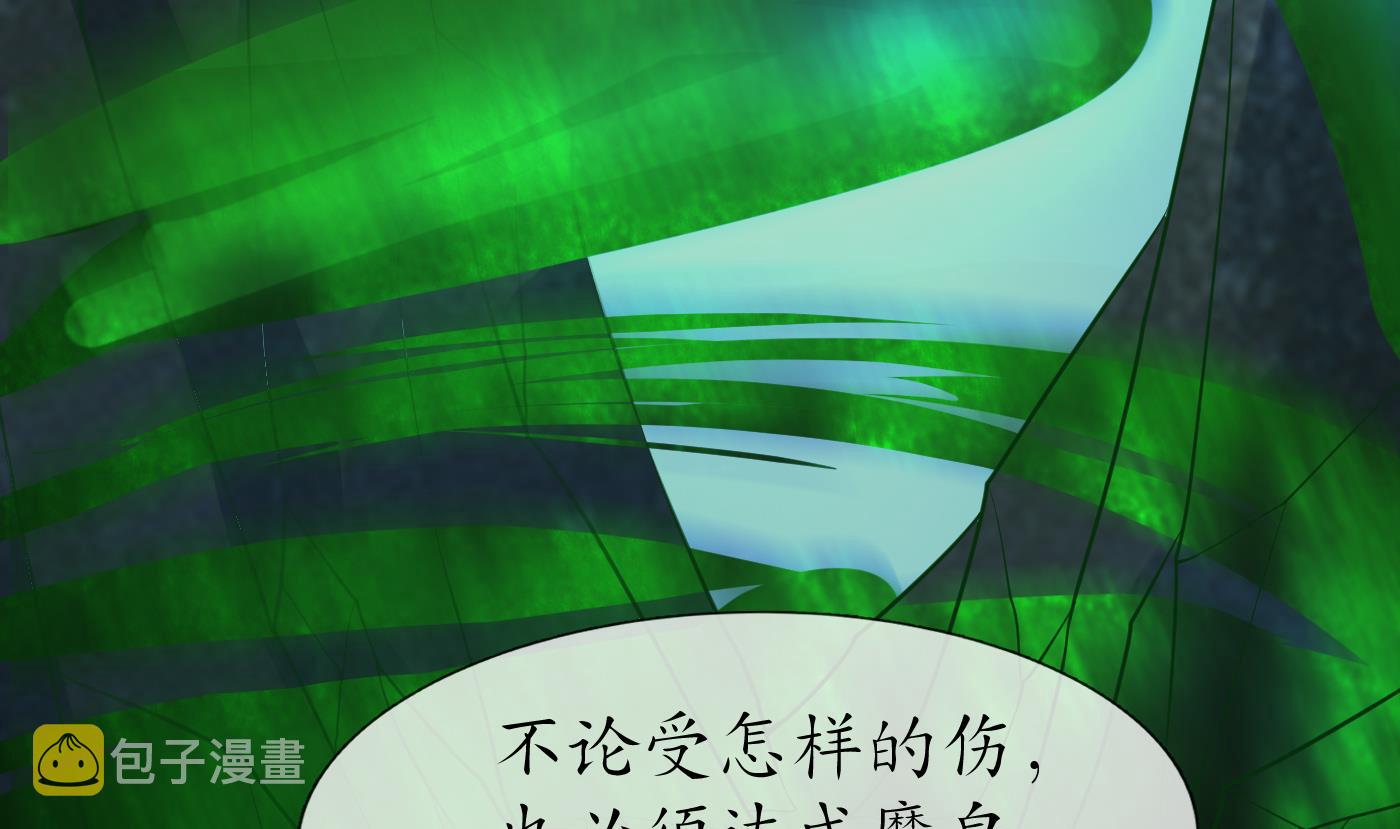 第133话 为师带你走！37