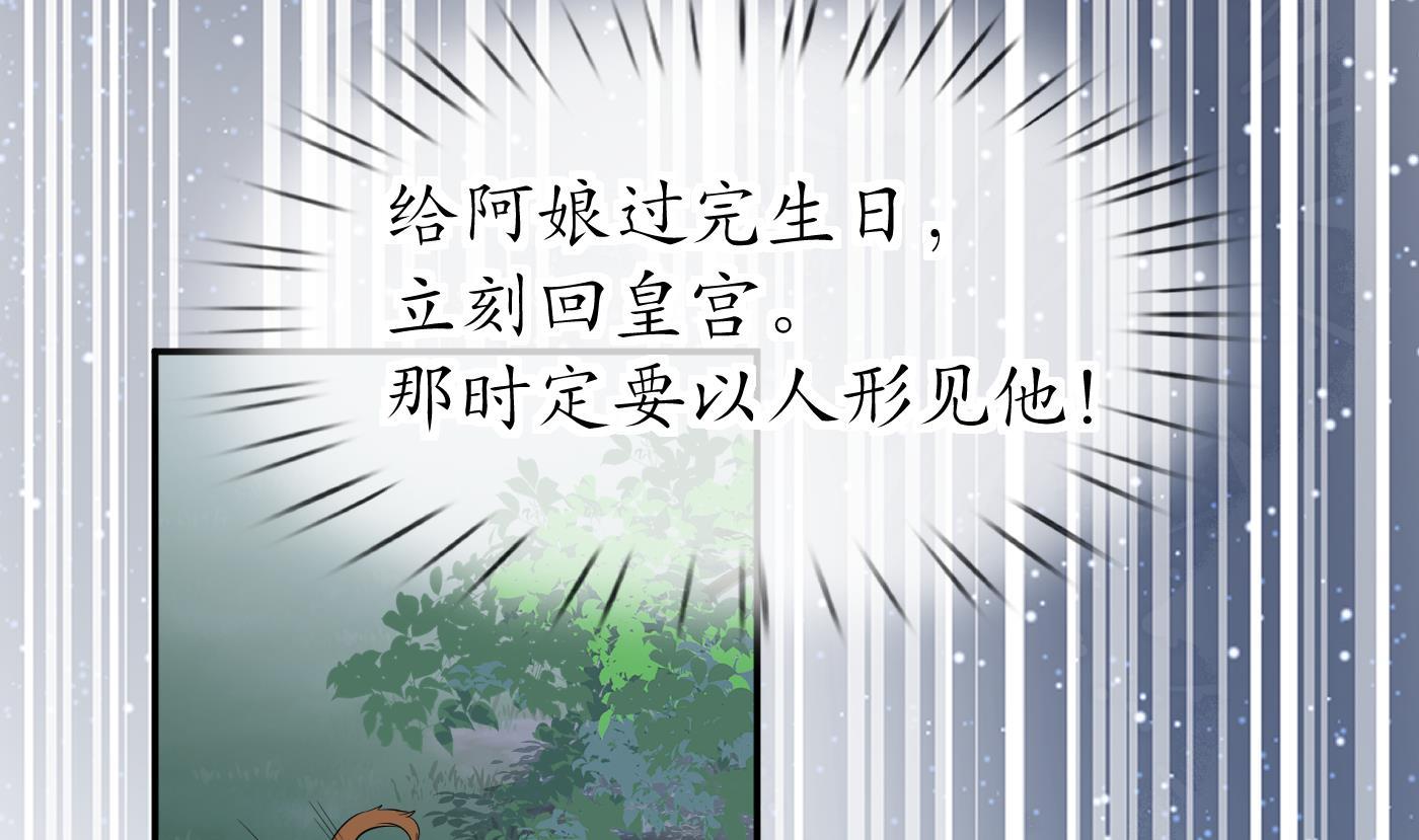 第75话 被动物占便宜了13