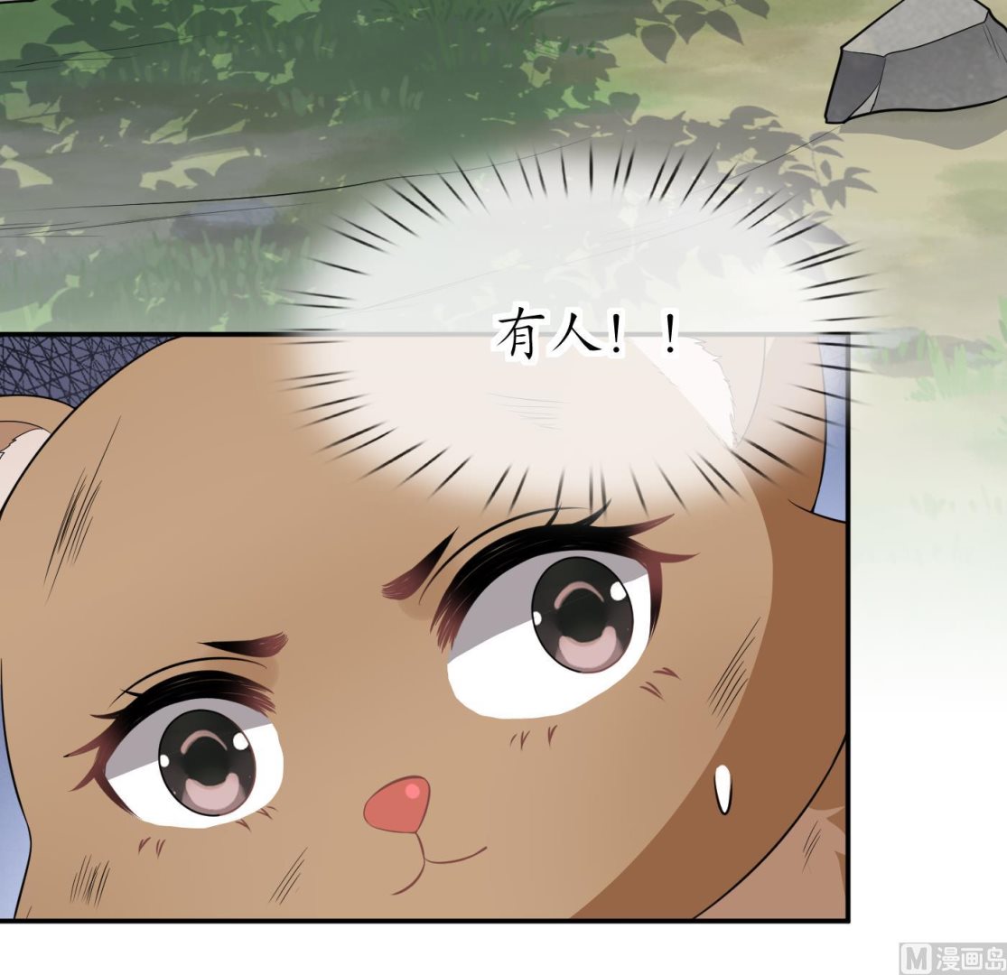 第75话 被动物占便宜了23