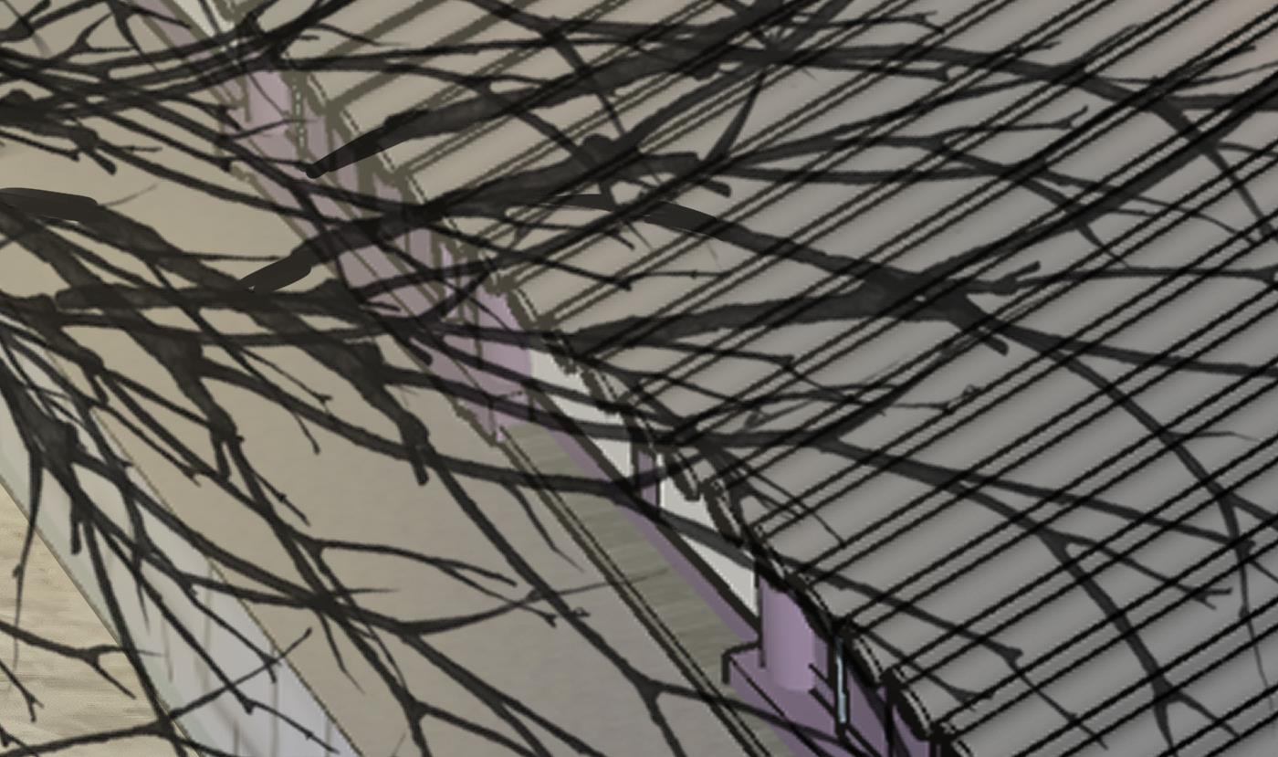 第133话 为师带你走！55