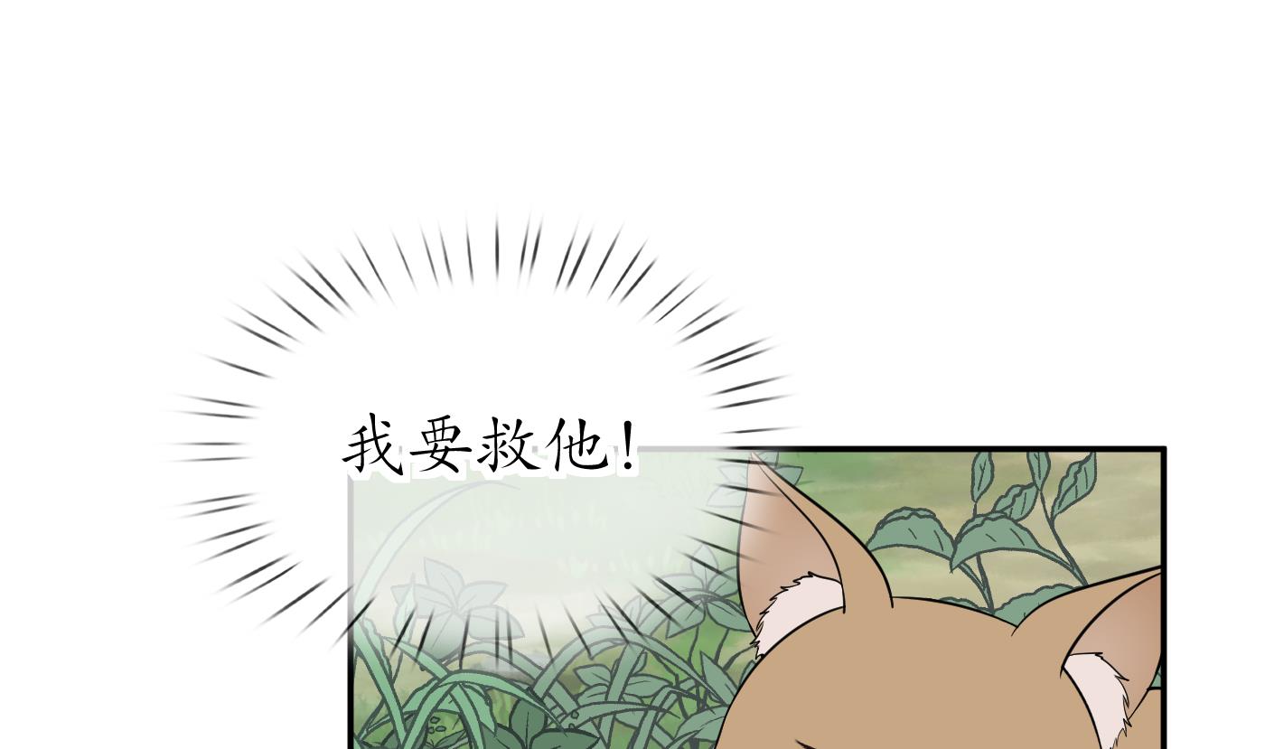 第75话 被动物占便宜了31