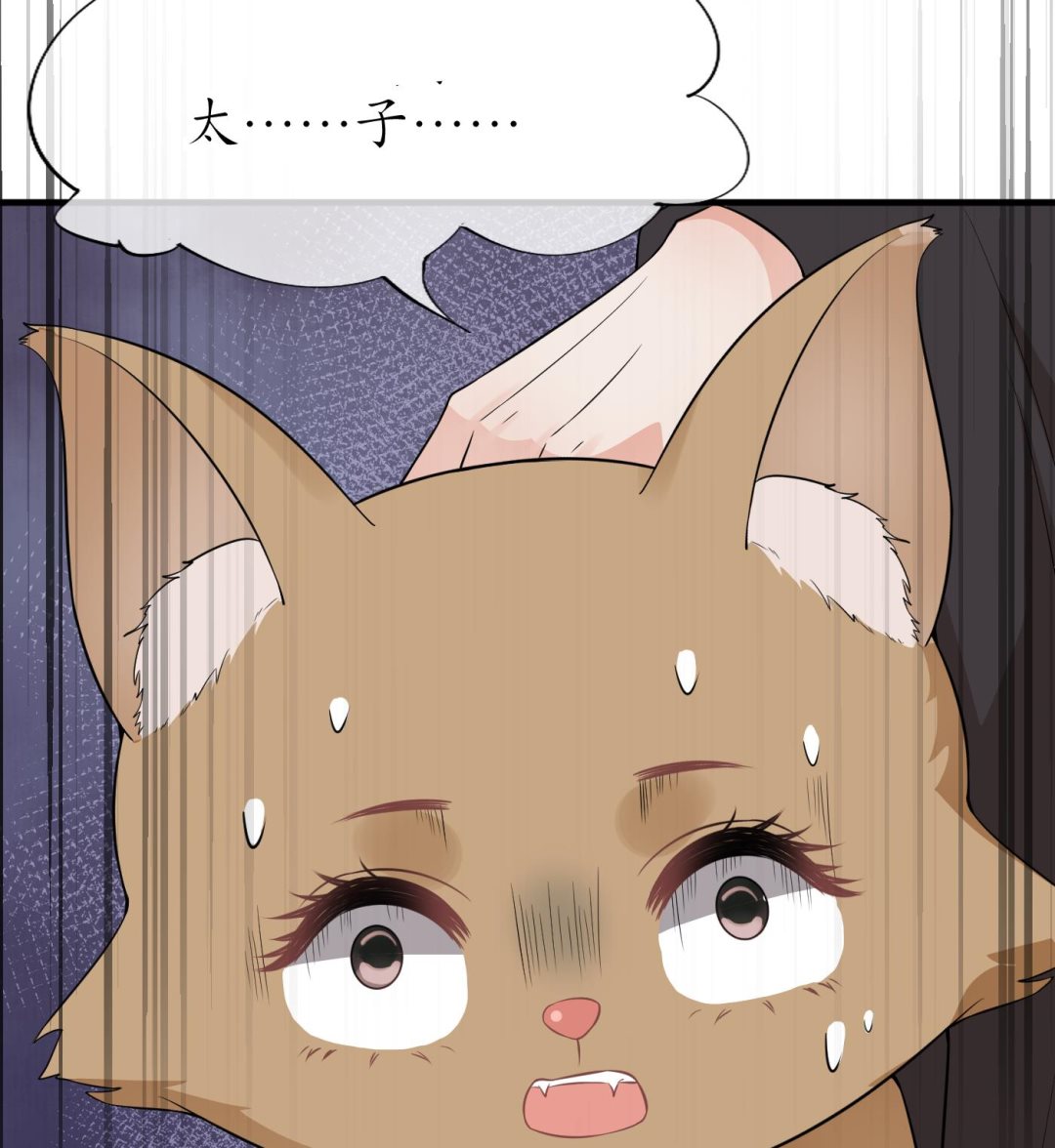 第75话 被动物占便宜了45