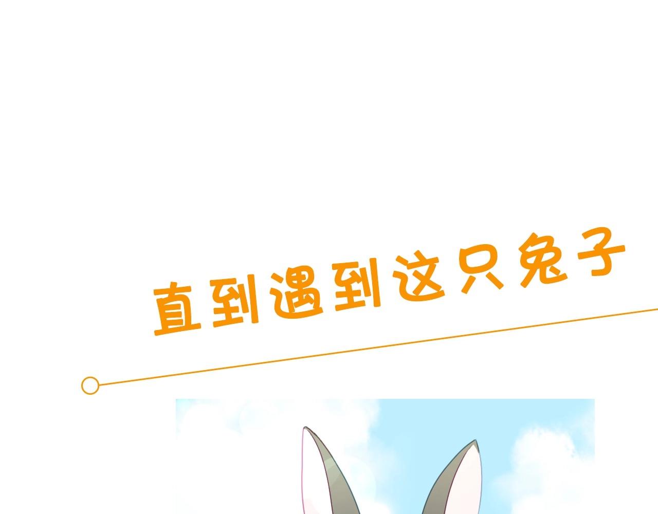 序章  兔子总发飙，但从不乱撩17