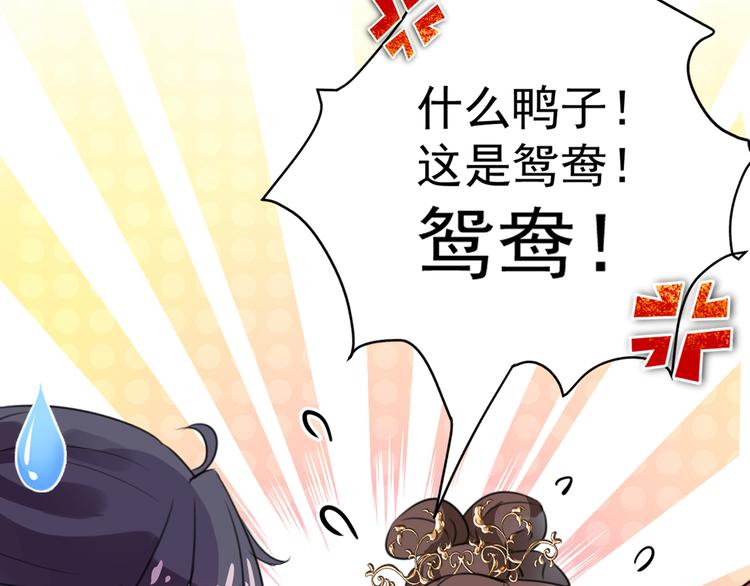第206话 鸭子浮绿水81