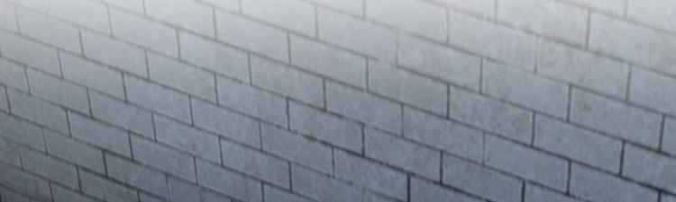 第46话 用刑5