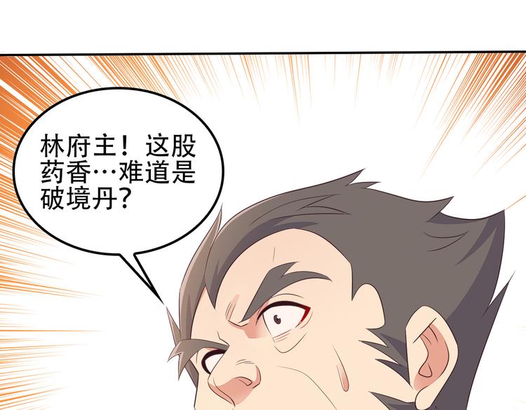 第51话 完美破境丹137