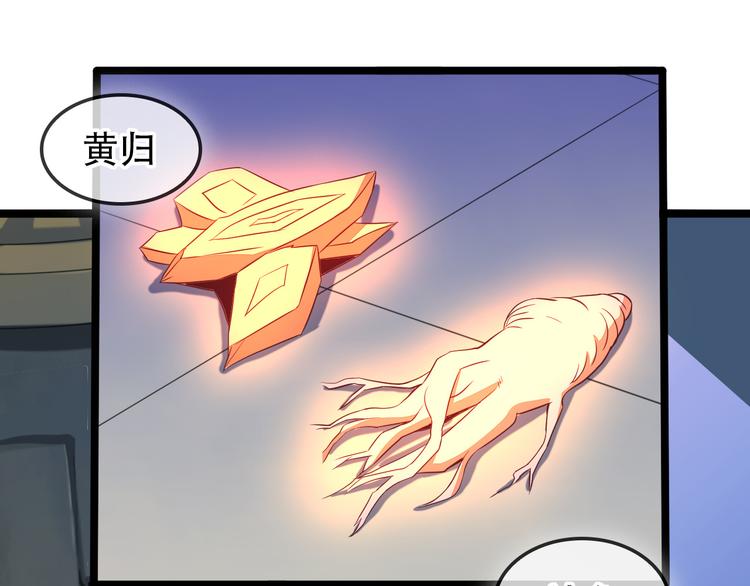 第51话 完美破境丹79