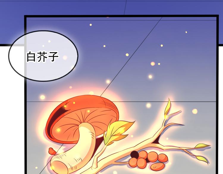 第51话 完美破境丹77