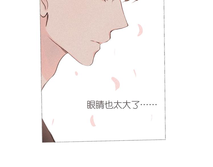 番外篇 于久远的樱树之下33