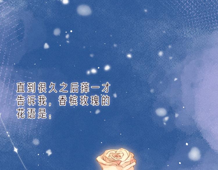 第37话 香槟玫瑰的花语49