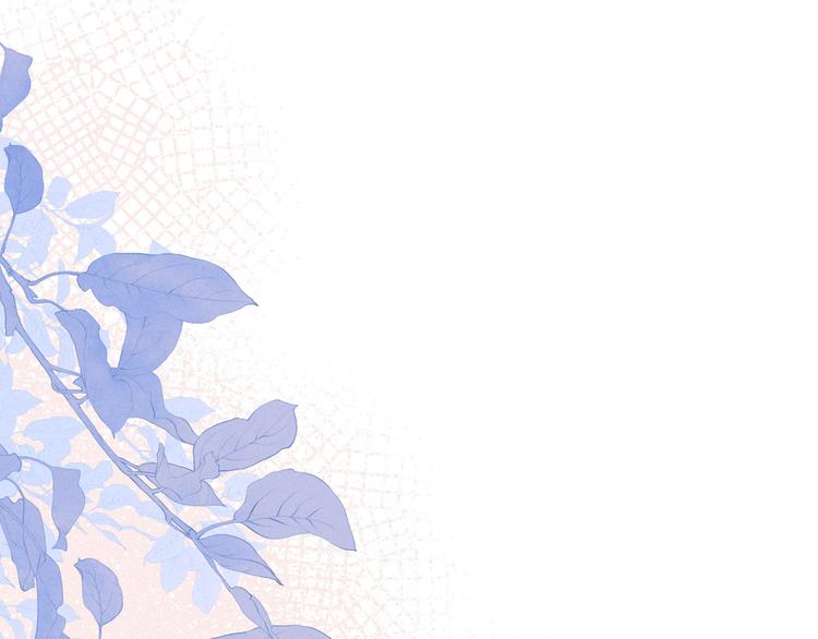 第7话 八年的心意13