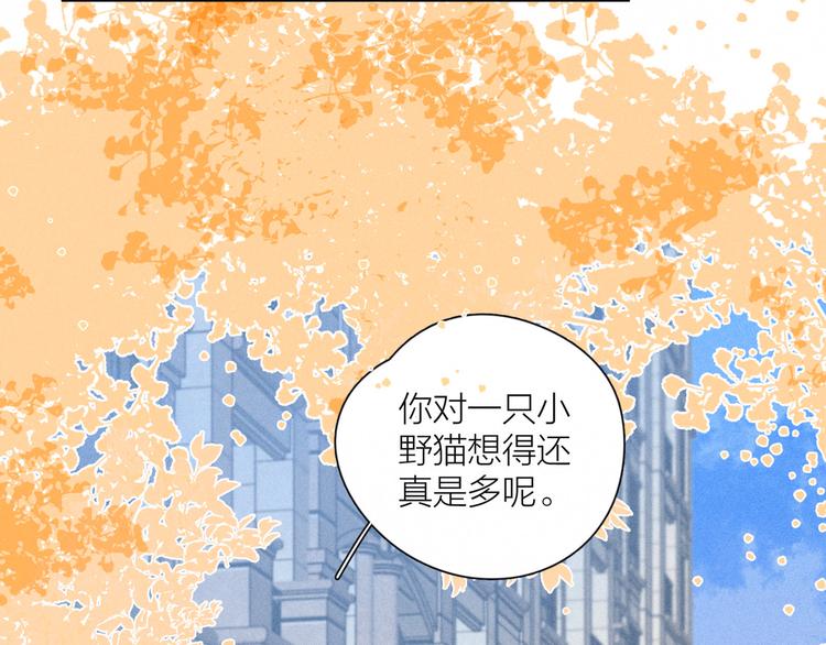 第18话 生日惊喜52