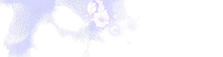 第37话 香槟玫瑰的花语78