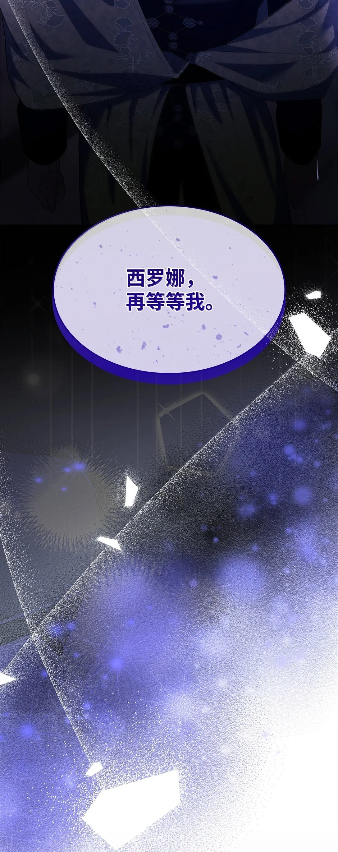 77 西罗娜被绑架57