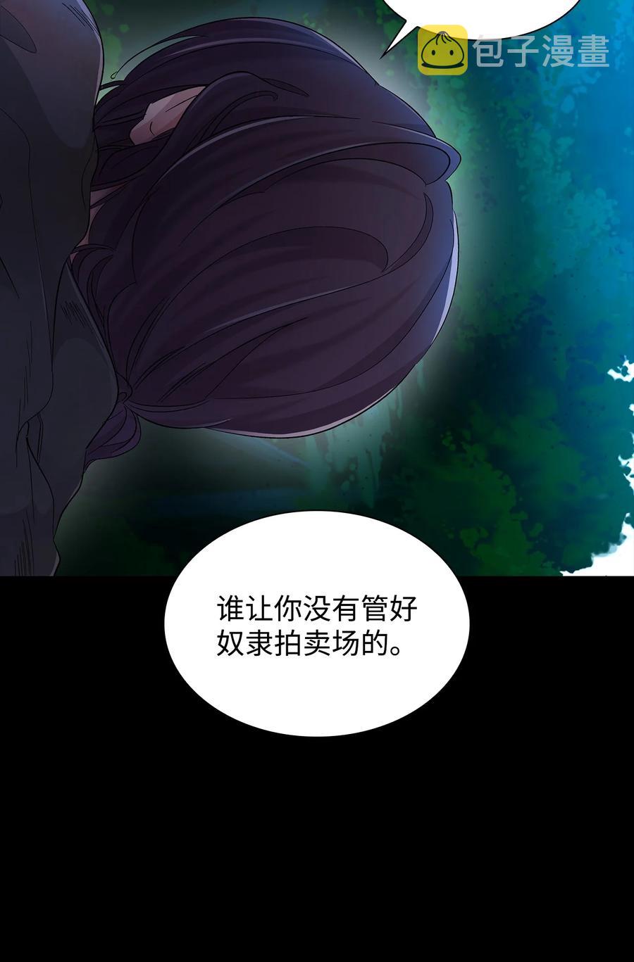 20 苏醒的精灵13