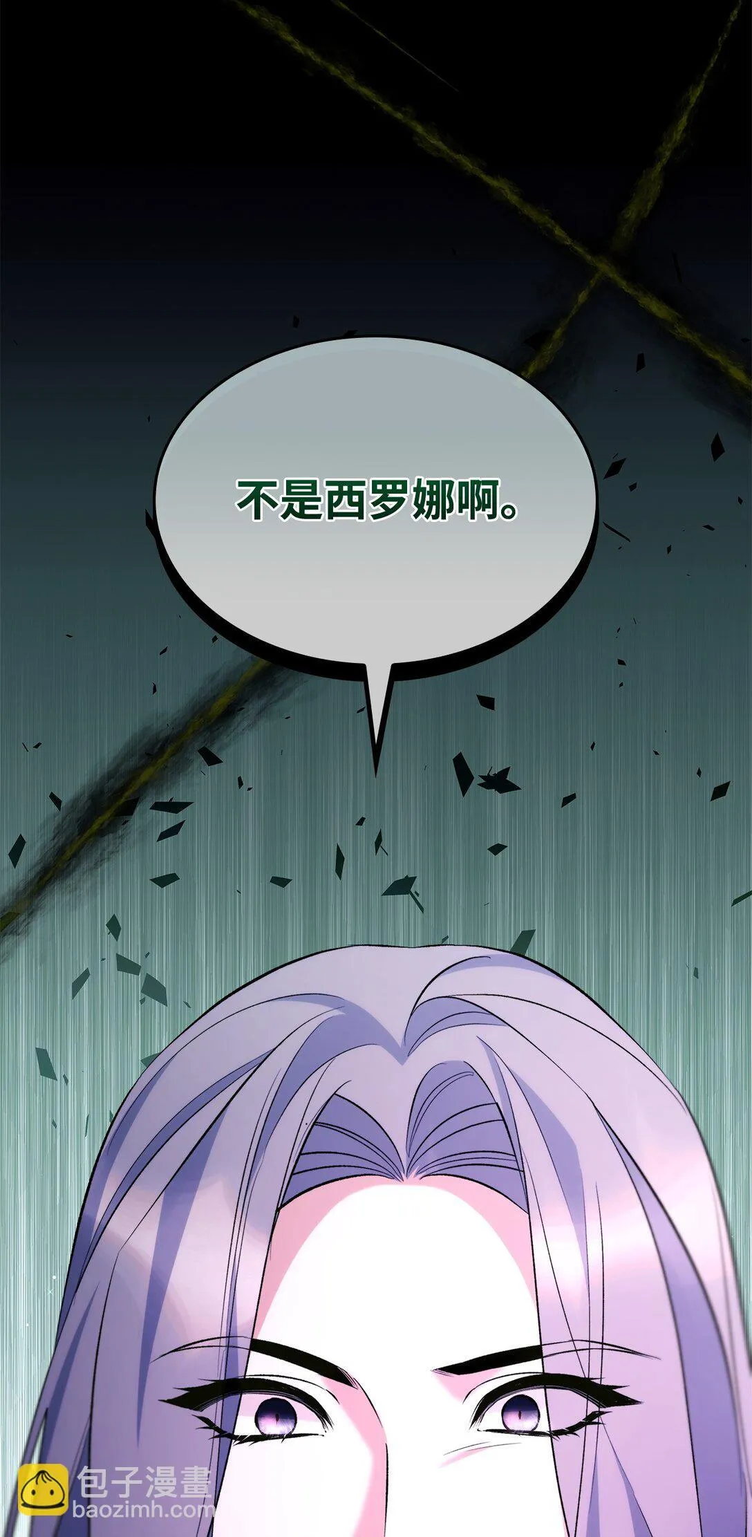 81 我的奇迹15