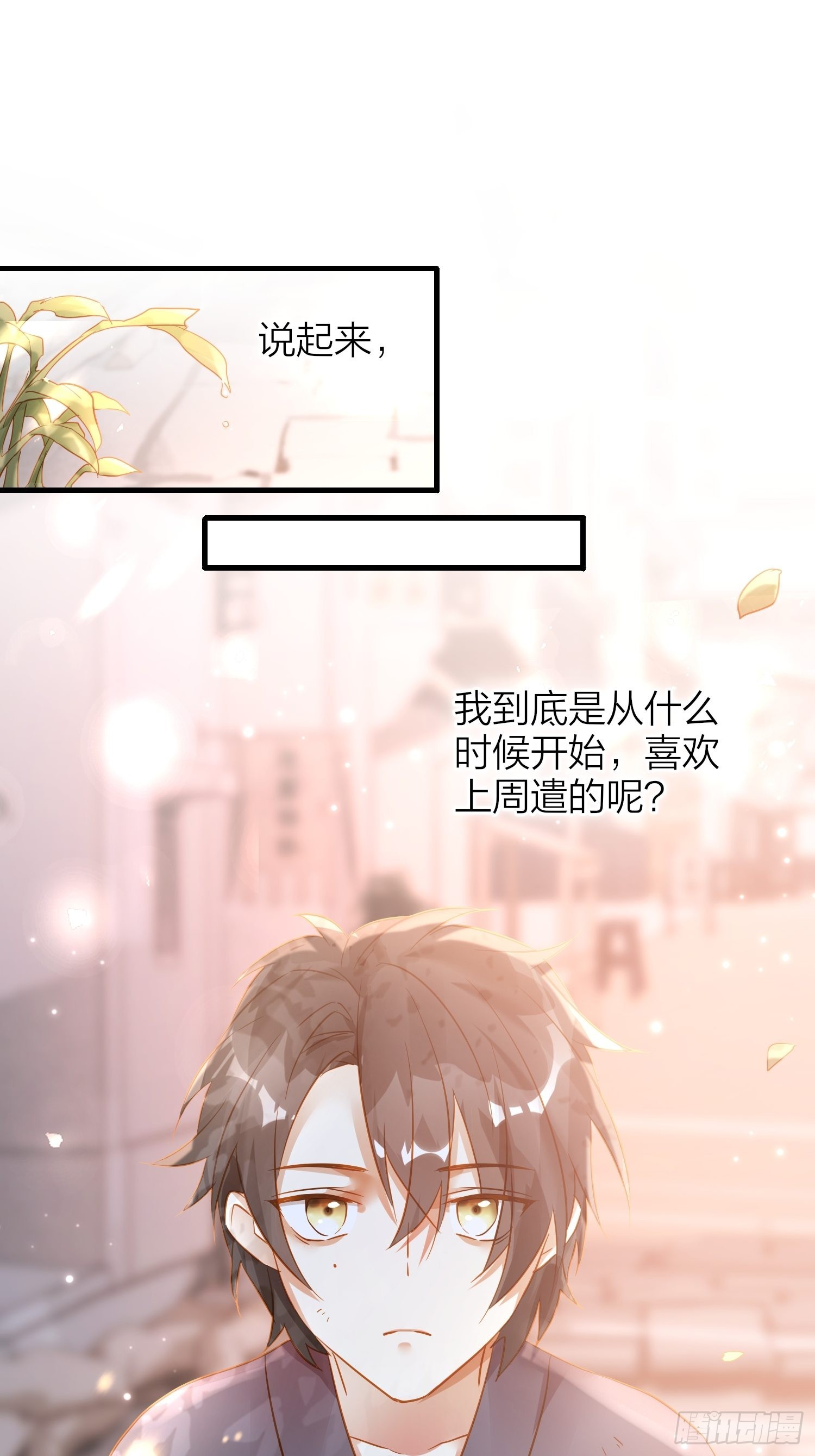 84-皆大欢喜2