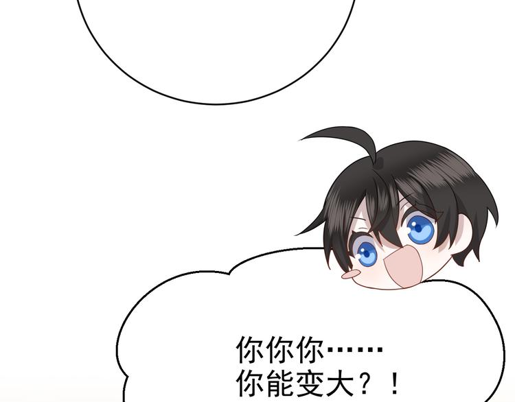 018 战宠契约41