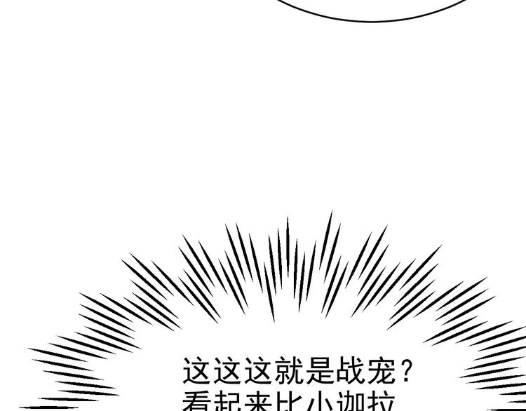 018 战宠契约50