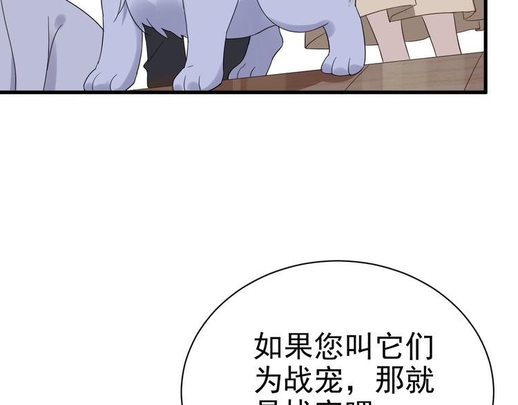 018 战宠契约61