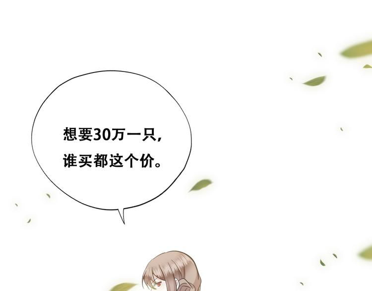 032 慕赤枭的计谋85