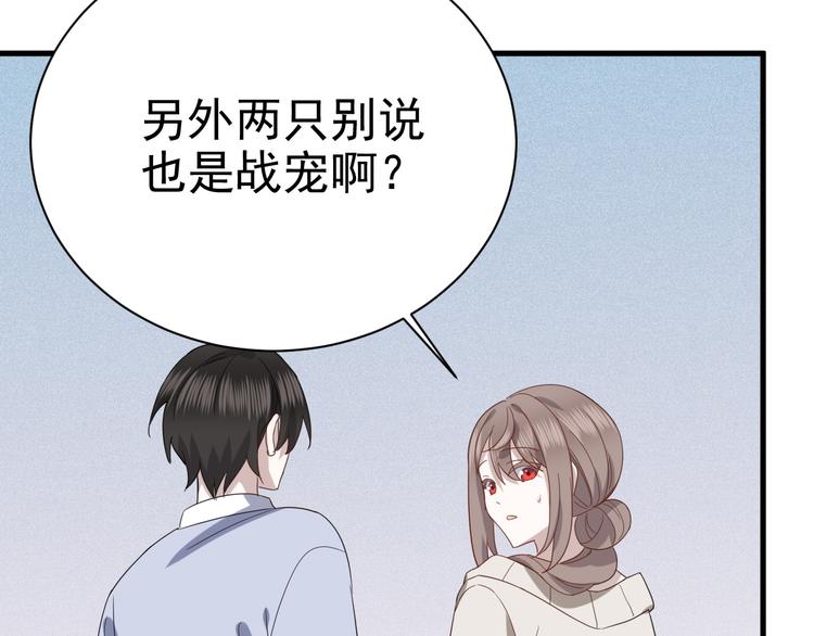 018 战宠契约59