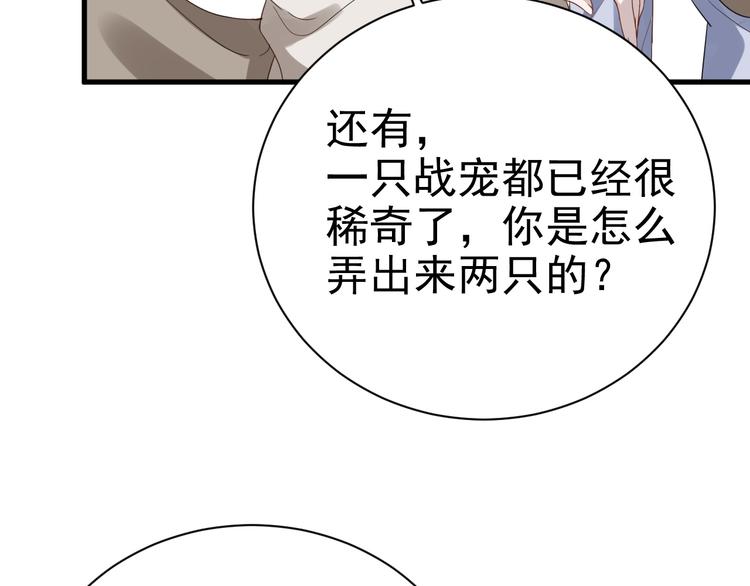 018 战宠契约58