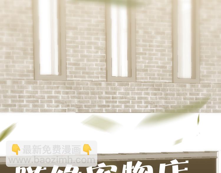 027 莱瑟心软65