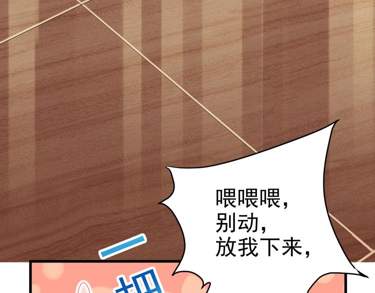 018 战宠契约44