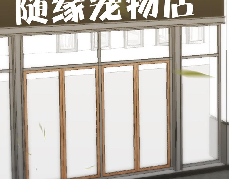 027 莱瑟心软66